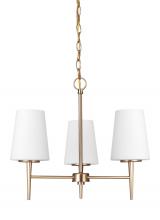 Seagull - Generation 3140403-848 - Driscoll Three Light Chandelier