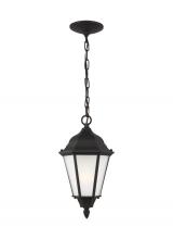 Seagull - Generation 60941-12 - Bakersville One Light Outdoor Pendant