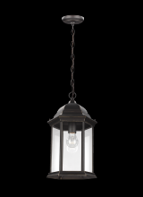 Seagull - Generation 6238701-71 - Sevier One Light Outdoor Pendant