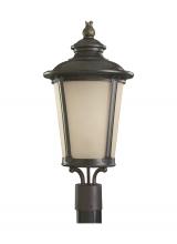 Seagull - Generation 82240-780 - Cape May One Light Outdoor Post Lantern
