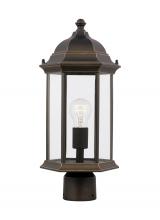Seagull - Generation 8238601-71 - Sevier traditional 1-light outdoor exterior medium post lantern in antique bronze finish with clear