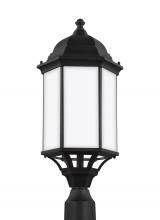 Seagull - Generation 8238751-12 - Sevier traditional 1-light outdoor exterior large post lantern in black finish with satin etched gla