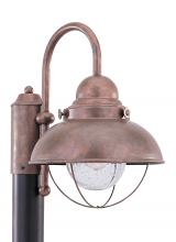 Seagull - Generation 8269-44 - Sebring transitional 1-light outdoor exterior post lantern in weathered copper finish with clear see
