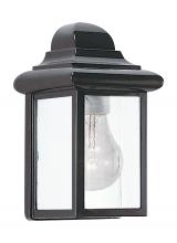 Seagull - Generation 8588-12 - Mullberry Hill traditional 1-light outdoor exterior wall lantern sconce in black finish with clear b