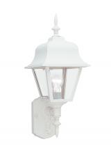 Seagull - Generation 8765-15 - Polycarbonate Outdoor traditional 1-light outdoor exterior large wall lantern sconce in white finish