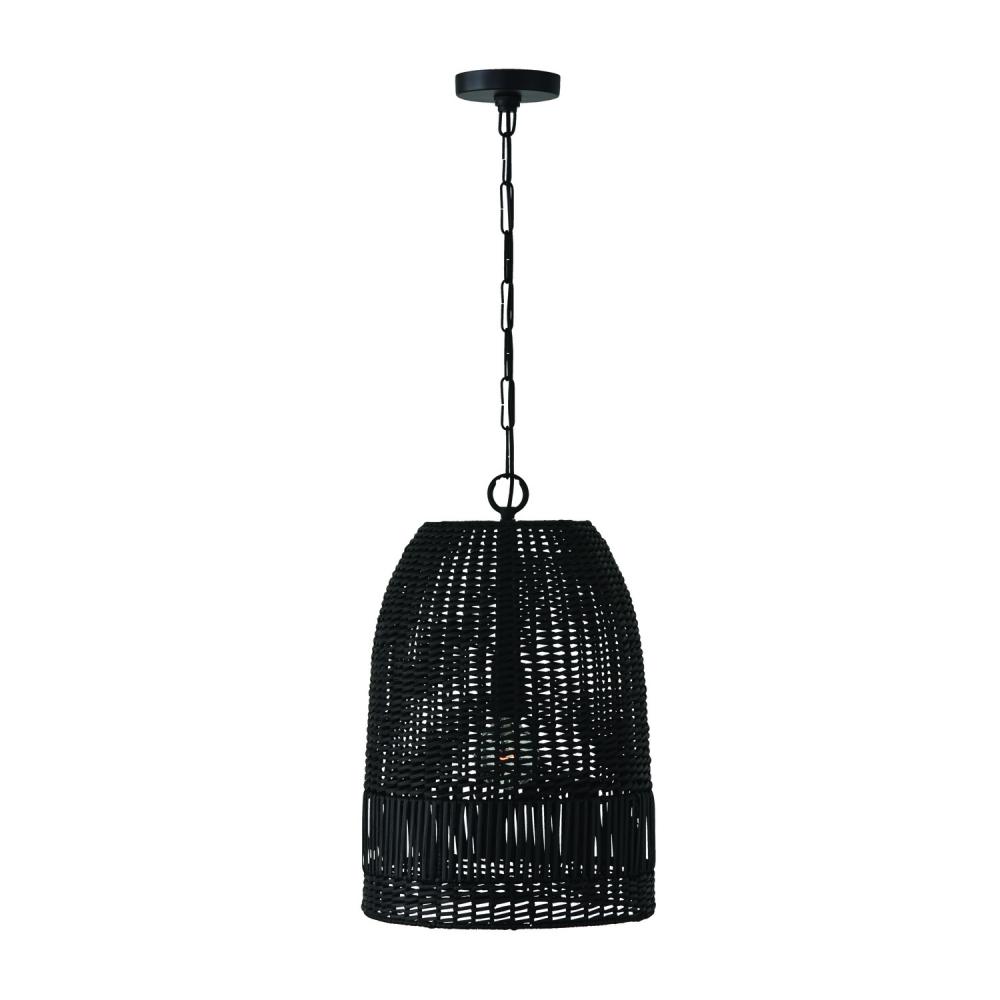 1-Light Pendant