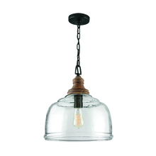 Capital Fixture Comp 330318YG - 1 Light Pendant