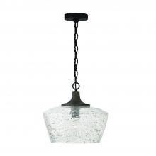 Capital Fixture Comp 347611CK - 1-Light Pendant