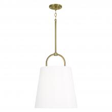 Capital Fixture Comp 349412AD - 1-Light Pendant