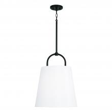 Capital Fixture Comp 349412MB - 1-Light Pendant