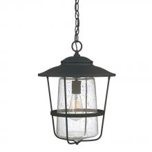Capital Fixture Comp 9604BK - 1 Light Outdoor Hanging Lantern