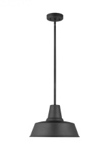 Generation - Designer 6237401-12 - Barn Light One Light Outdoor Pendant